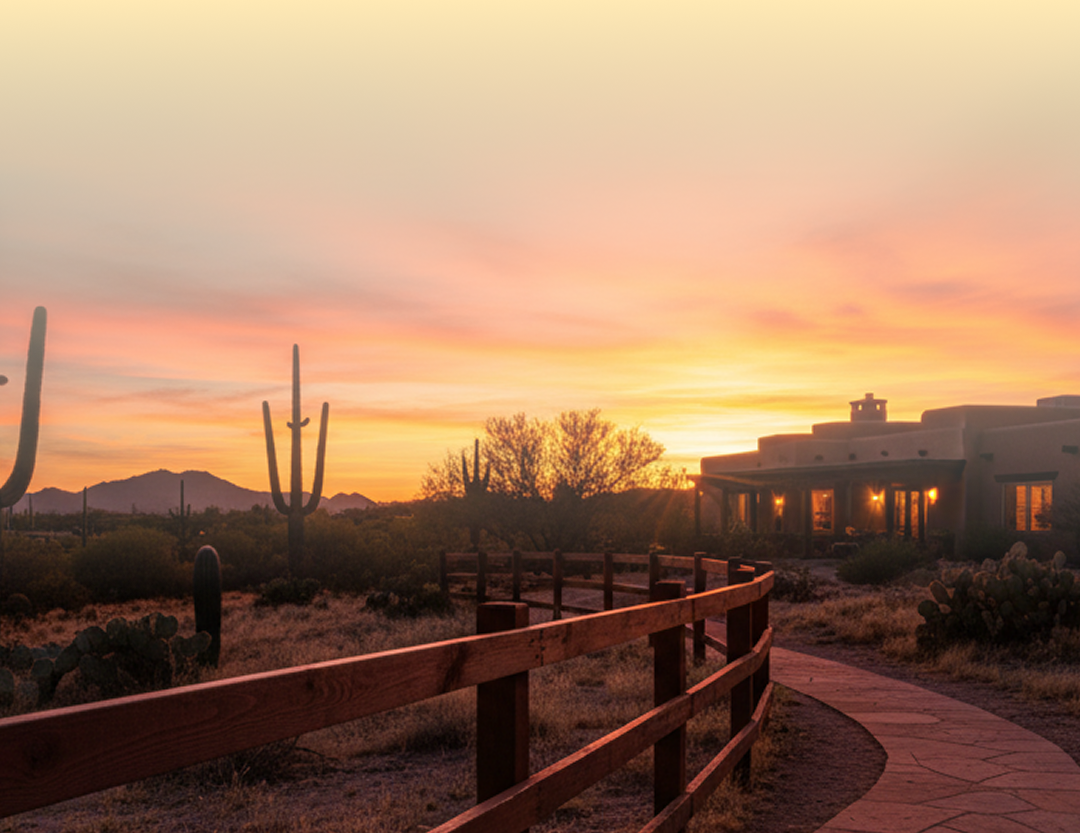 Contact Background Mobile